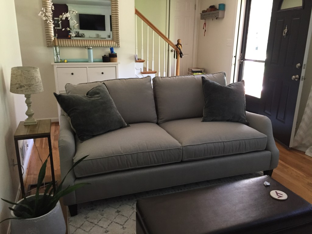 The couch I regret buying and some I’m eyeing