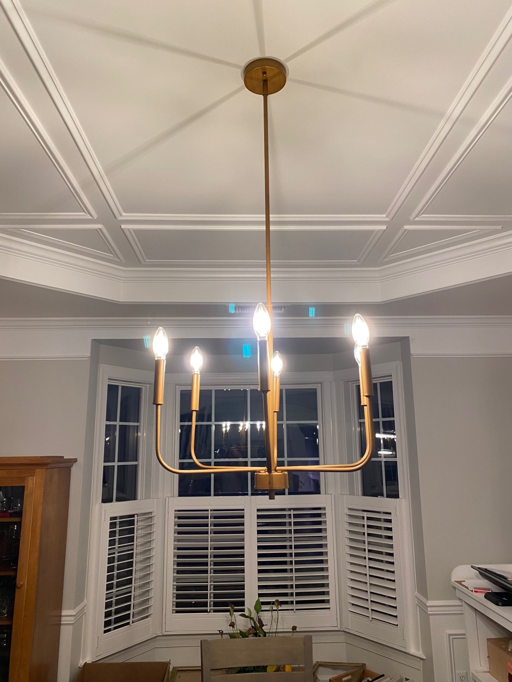 My Two Asses (bear with me)